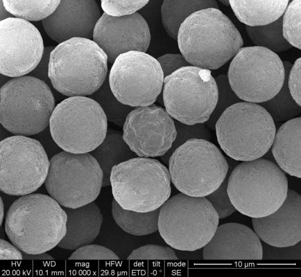 5μm 10 mg/ml 5 ml di polimero magnetico bordano per l'immunodiagnosi