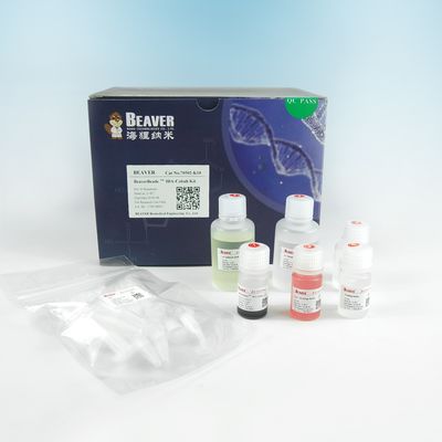 μm 150 il suo rapporto del volume di IDA Cobalt Magbeads Kit 10% di purificazione della proteina dell'etichetta