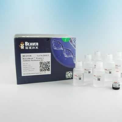 Purificazione magnetica 2μm della proteina delle perle dell'anticorpo della proteina A 30 mg/ml 5 ml