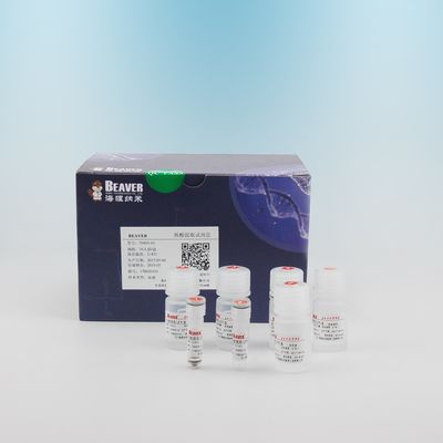 Estrazione del DNA del DNA Kit For Blood del sangue di 100 reazioni per l'operazione automatica