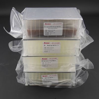 Il DNA virale Kit Nucleic Acid Extraction Kits ha precompilato il fondo delle reazioni U delle piastrine 96