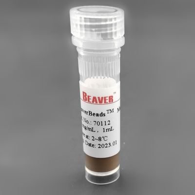 300nm 50 mg/ml una silice da 1 ml ha incapsulato le perle magnetiche per lo Sc dell'estrazione del RNA
