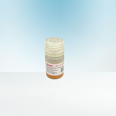 10-30μm Agrose Streptavidin magnetico borda 20% per Biotinylated IgG 5 ml