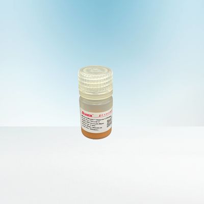 Agarosi Magbeads carbossilico 10 di purificazione della proteina - 30 rapporto del volume del μM 20%